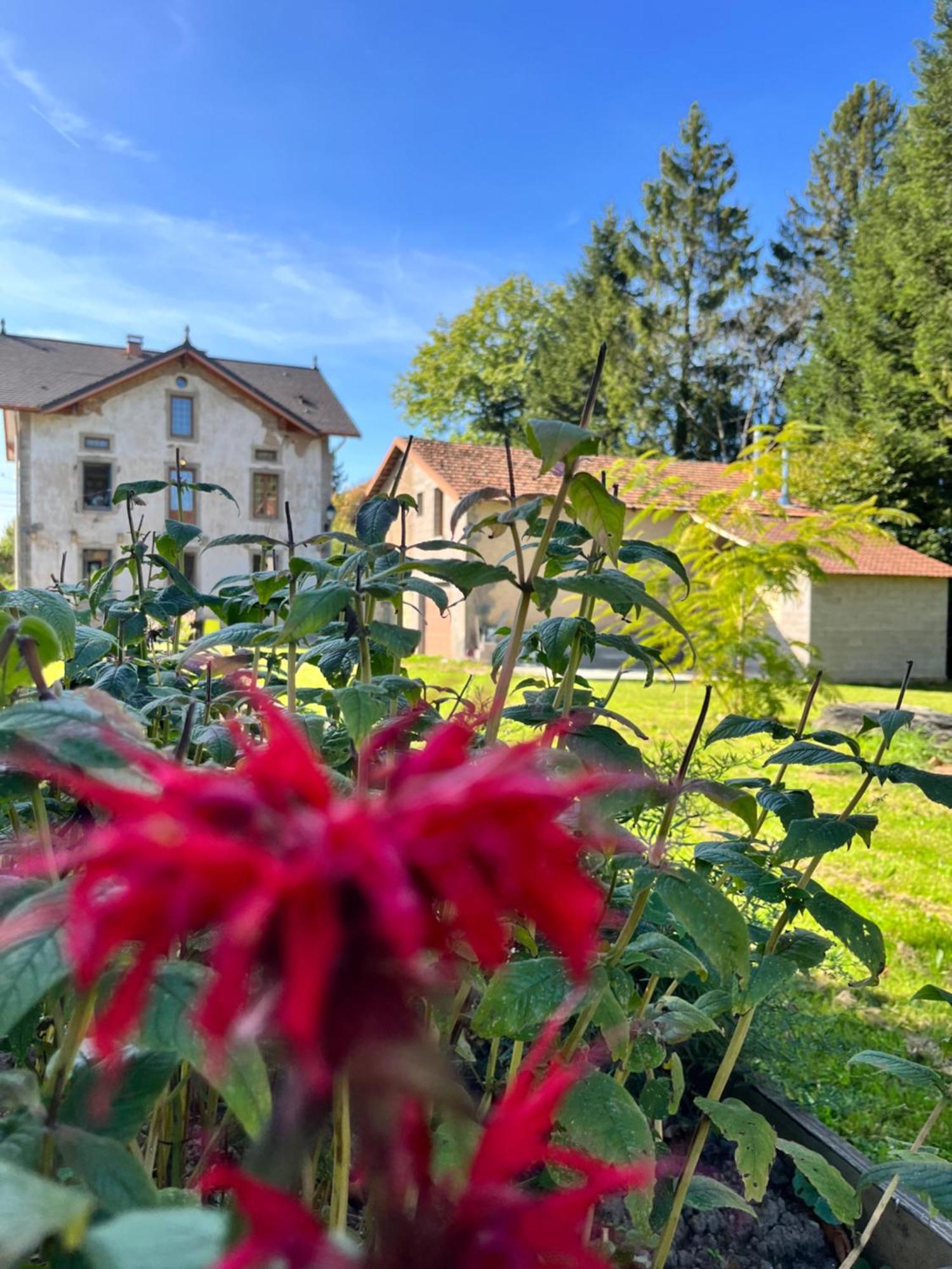 Chambre D'Hote Cosy Domaine Du Bagnerot La Chapelle-aux-Bois Esterno foto